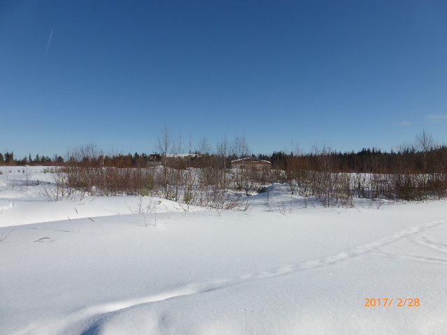 P1150065.JPG